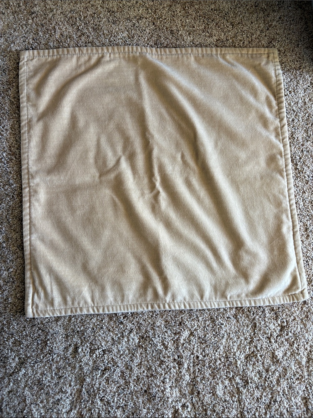 Pottery Barn Light Tan Velvet-Look Pillow Cover